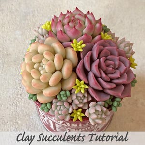 Clay succulents course lesson vol.1