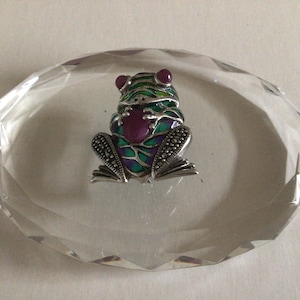 May include: A silver frog brooch with green, purple, and blue enamel and a red gemstone. The brooch is sitting on a clear crystal base.