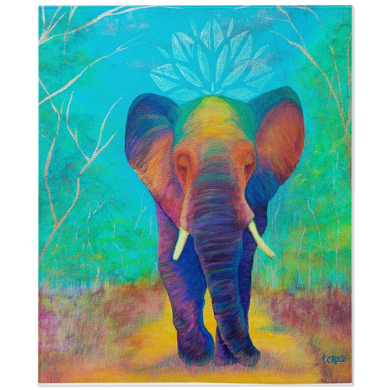 Elephant Velveteen Fleece Blanket, Elephant Blanket, Colorful Elephant