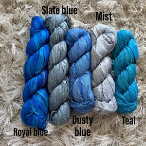 May include: Five skeins of ribbon yarn arranged side by side in shades of royal blue, slate blue, dusty blue, mist, and teal. Each skein features a textured, crinkled appearance with the color names printed above or below each specific yarn.