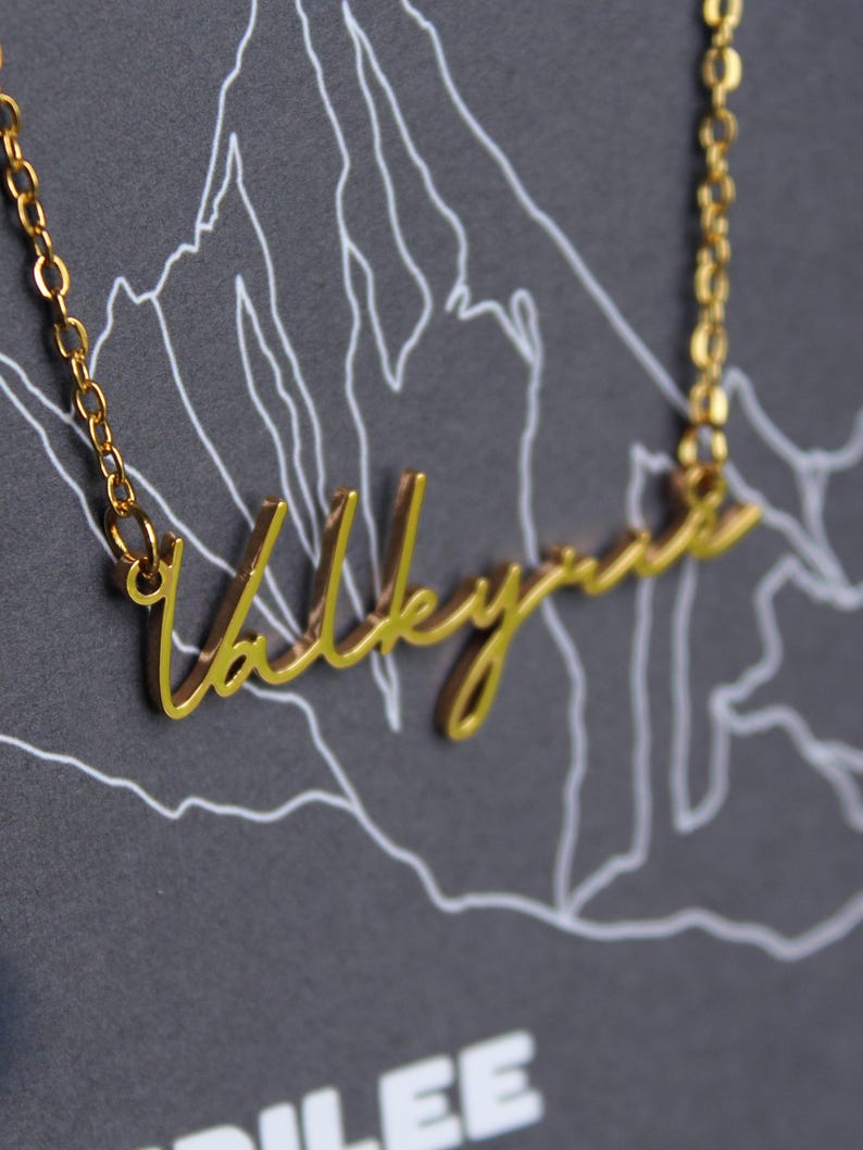 Officially Licenced Valkyrie Stainless Steel Necklace, ACOTAR Merch, Nesta, Bookish Gifts, Silver Gold Necklace Fantasy Romance Reader image 2