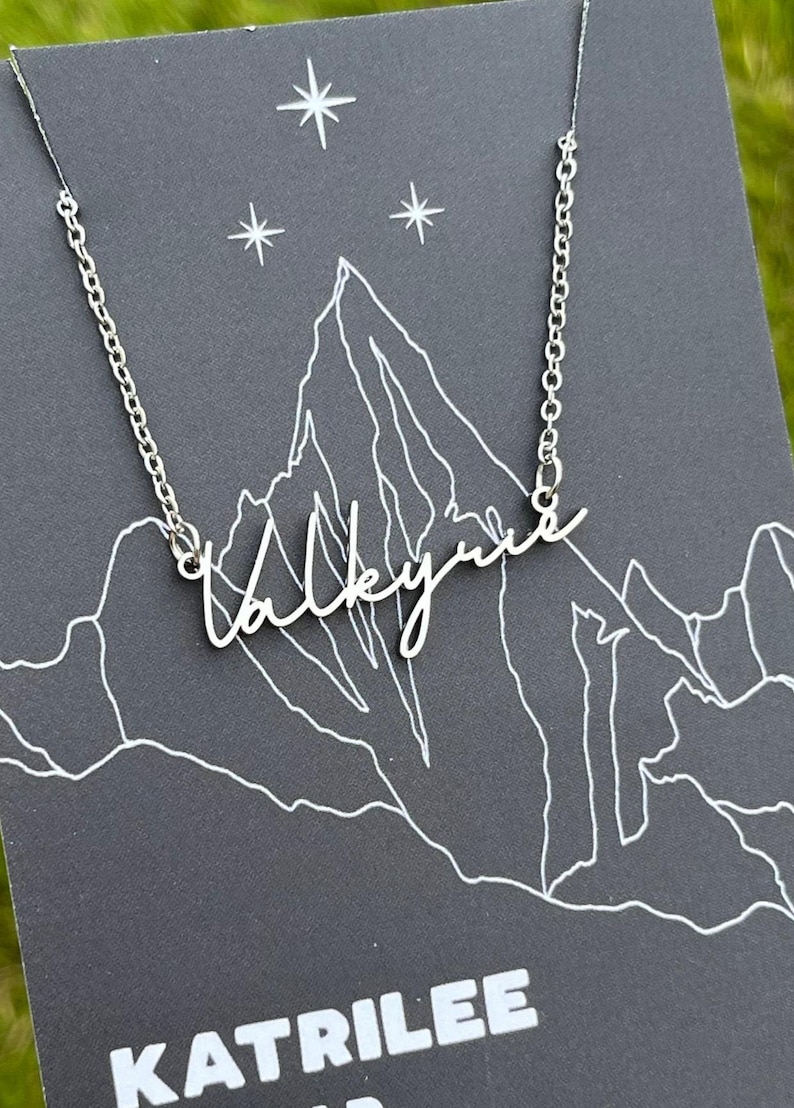 Officially Licenced Valkyrie Stainless Steel Necklace, ACOTAR Merch, Nesta, Bookish Gifts, Silver Gold Necklace Fantasy Romance Reader image 1