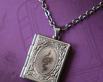 Può includere: Collana con ciondolo a medaglione rettangolare argentato con un design ovale raffigurante un serpente e un sole. Il ciondolo è su una catena d'argento. Lo sfondo è viola. È un gioiello.