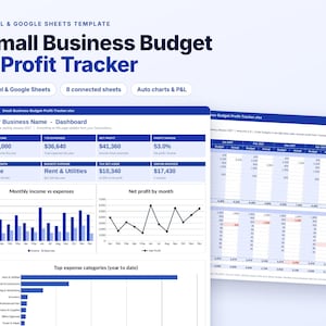 Small Business Budget Spreadsheet, Profit and Loss Tracker, Excel Google Sheets, Income Expense Tracker, Budget vs Actual, Cash Flow Sheet image 1