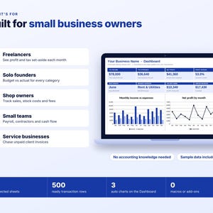 Small Business Budget Spreadsheet, Profit and Loss Tracker, Excel Google Sheets, Income Expense Tracker, Budget vs Actual, Cash Flow Sheet image 14