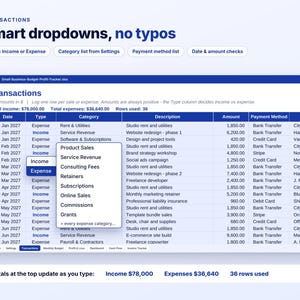 Small Business Budget Spreadsheet, Profit and Loss Tracker, Excel Google Sheets, Income Expense Tracker, Budget vs Actual, Cash Flow Sheet image 10