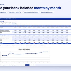 Small Business Budget Spreadsheet, Profit and Loss Tracker, Excel Google Sheets, Income Expense Tracker, Budget vs Actual, Cash Flow Sheet image 11