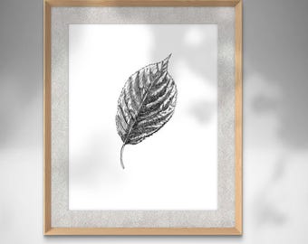 Può includere: Un disegno in bianco e nero di una singola foglia in una cornice di legno.