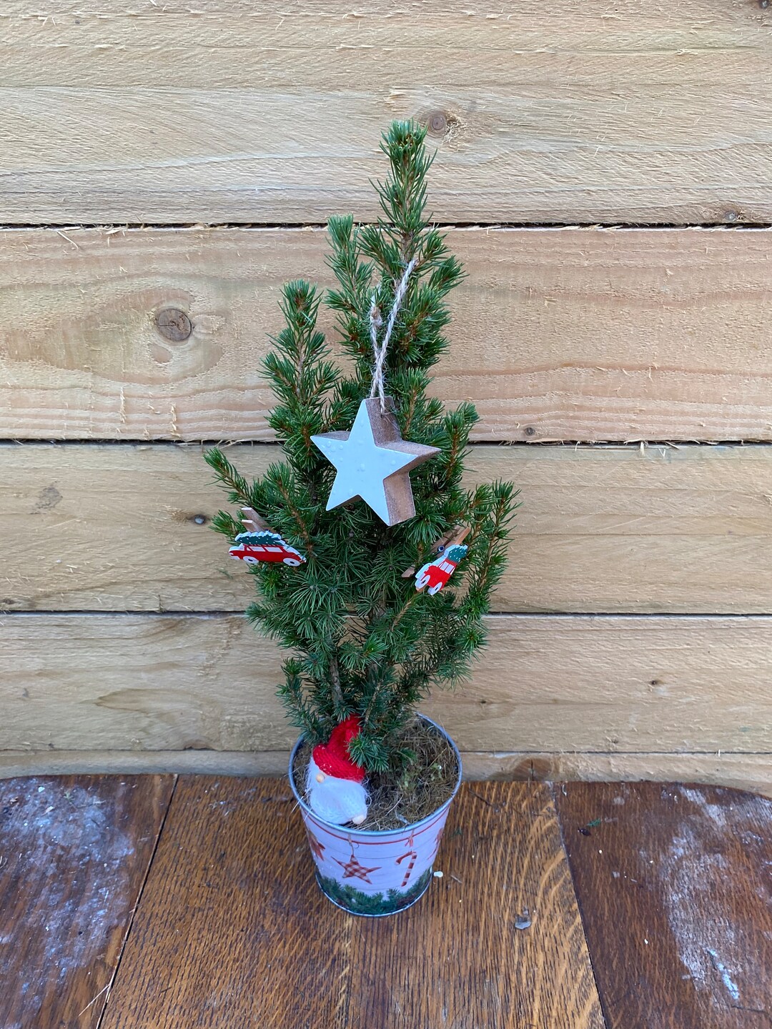 Small Real Christmas Tree With Decorations and Decorative Pot Etsy UK