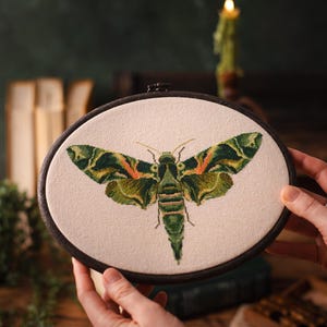 May include: An oval embroidery hoop displaying a cross-stitch of a Death's-head Hawkmoth. The moth's wings and body are detailed with green and orange hues, set against a cream fabric. The hoop is framed in dark wood, a craft item.