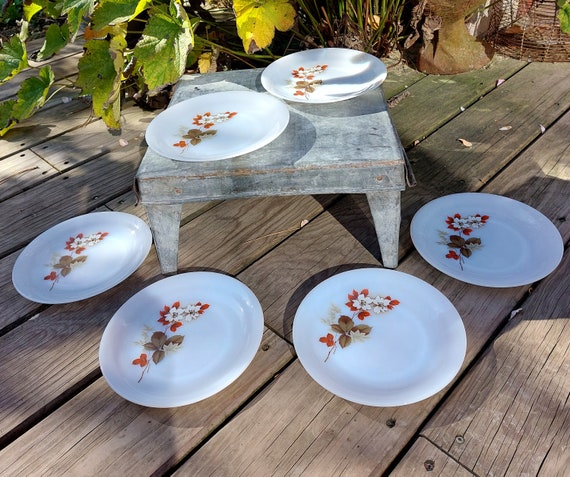 Lot 4 assiettes à dessert ARCOPAL - décor fleurs orange - Diamètre 19 cm