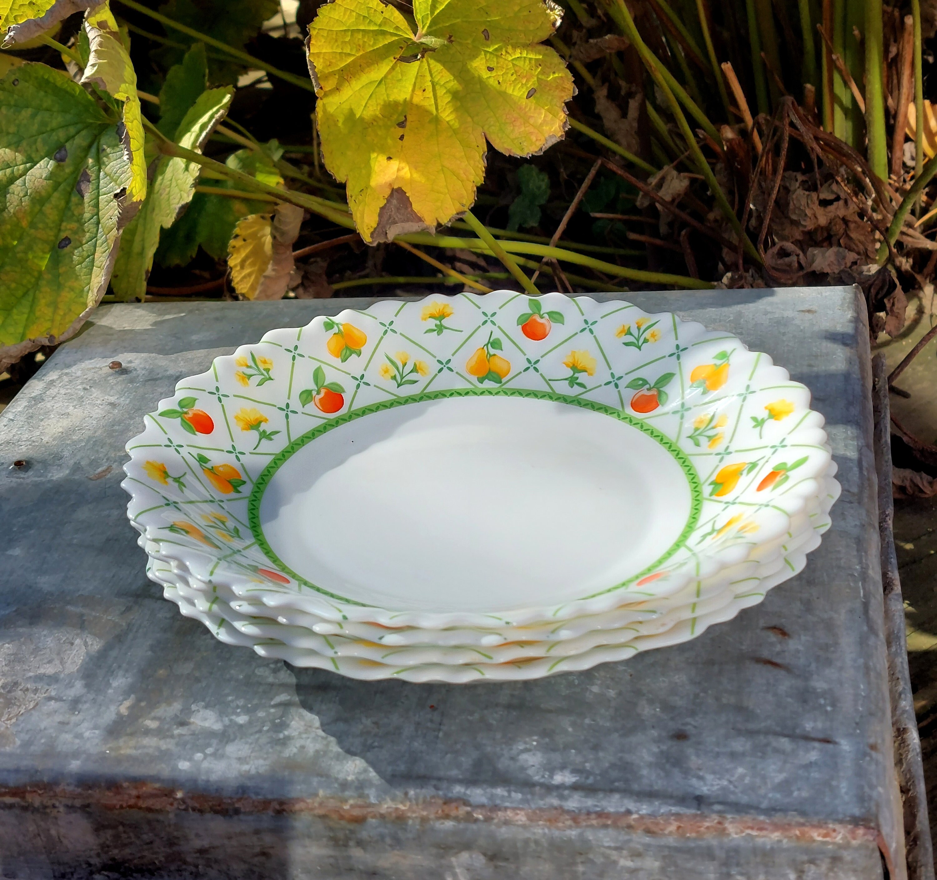 LUMINARC FRANCE Soup Plates With Flowers and Fruits Decor – 4