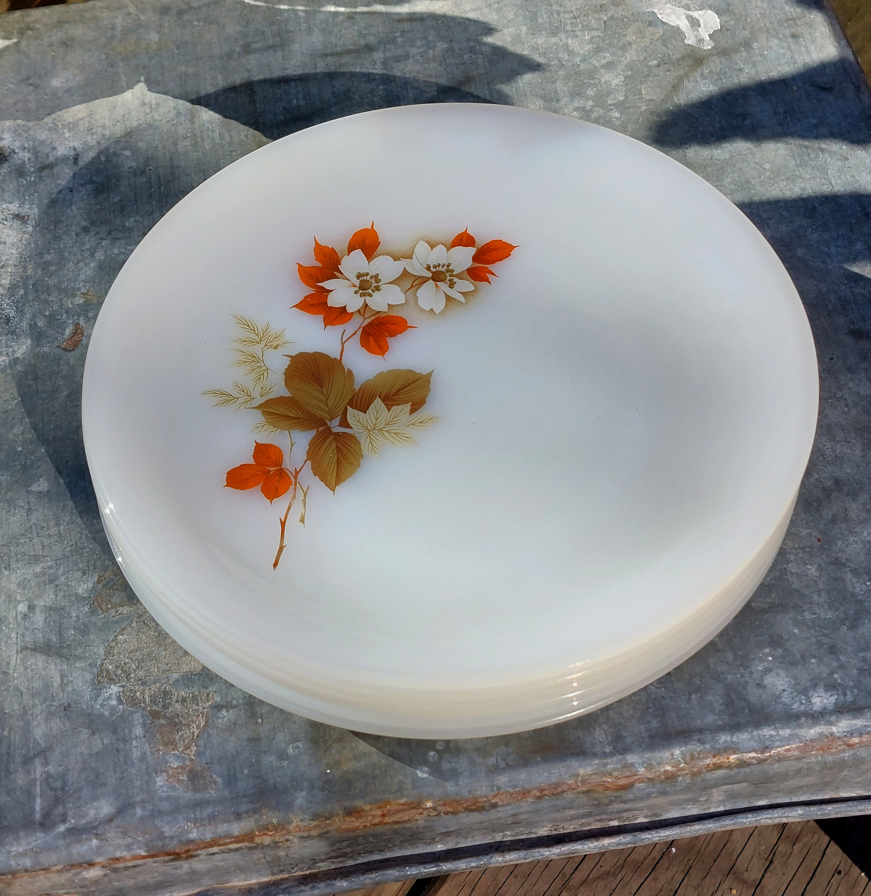 Lot 6 Petites Assiettes Plates Arcopal France D 19,5 Cm Décor