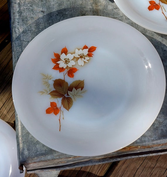 Lot De 5 Assiettes à Dessert Vintage Arcopal - Décor Fleurs Orange, Diamètre 19 Cm