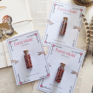 以下が含まれることがあります： 「Force vitale」と「Jaspe Rouge」の文字が書かれたカードに、赤いジャスパーの石が入った小さなガラス瓶が展示されています。カードにはピンク色の縁取りと手のイラストが描かれています。背景にはヴィンテージ紙が含まれています。