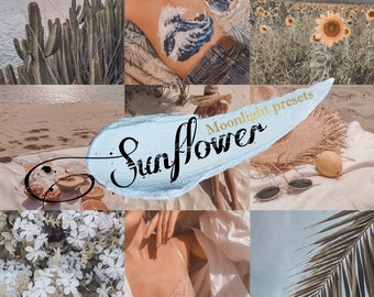 Ajuste preestablecido de Lightroom con colores pastel cálidos para dispositivos móviles o computadoras