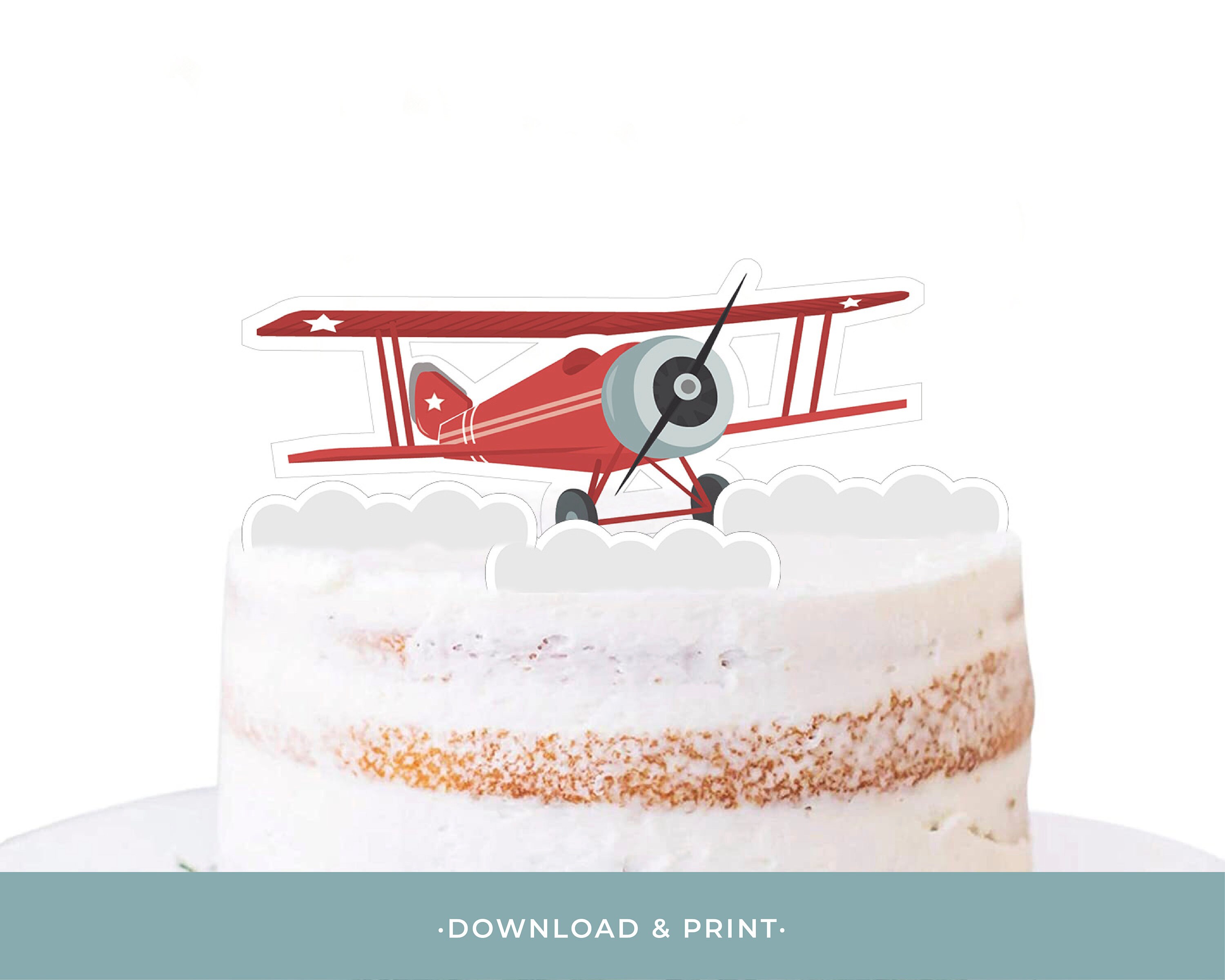 Buy Airplane Cake Online In India Etsy India
