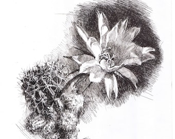 Pen Black and white drawing from photo