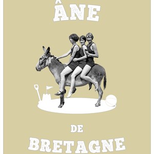 Cartel, Collage digital, Vincent CANN producciones "Burro de Bretaña" Collage - 337