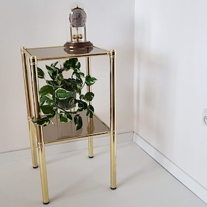 May include: A gold metal two-tiered shelf unit with glass shelves. A potted plant sits on the top shelf and a clock is on the bottom shelf.