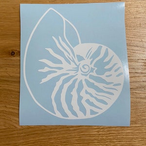 Puede incluir: Una pegatina cuadrada azul claro con un diseño de concha de nautilus blanca. La concha está representada con líneas detalladas y un patrón en espiral. La pegatina está colocada sobre una superficie de madera.