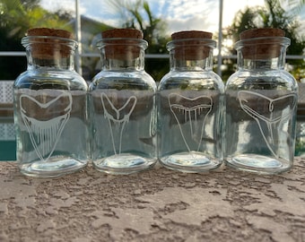 One Shark Tooth Treasure Jar Etched Glass Jar with Cork Stopper 5oz Megalodon Snaggletooth Giant White Lemon Sand Tiger Teeth Beach Fossil