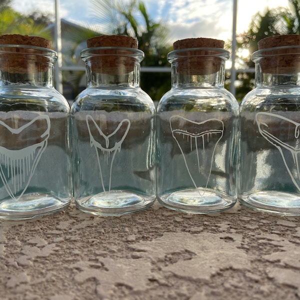 One Shark Tooth Treasure Jar Etched Glass Jar with Cork Stopper 5oz Megalodon Snaggletooth Giant White Lemon Sand Tiger Teeth Beach Fossil