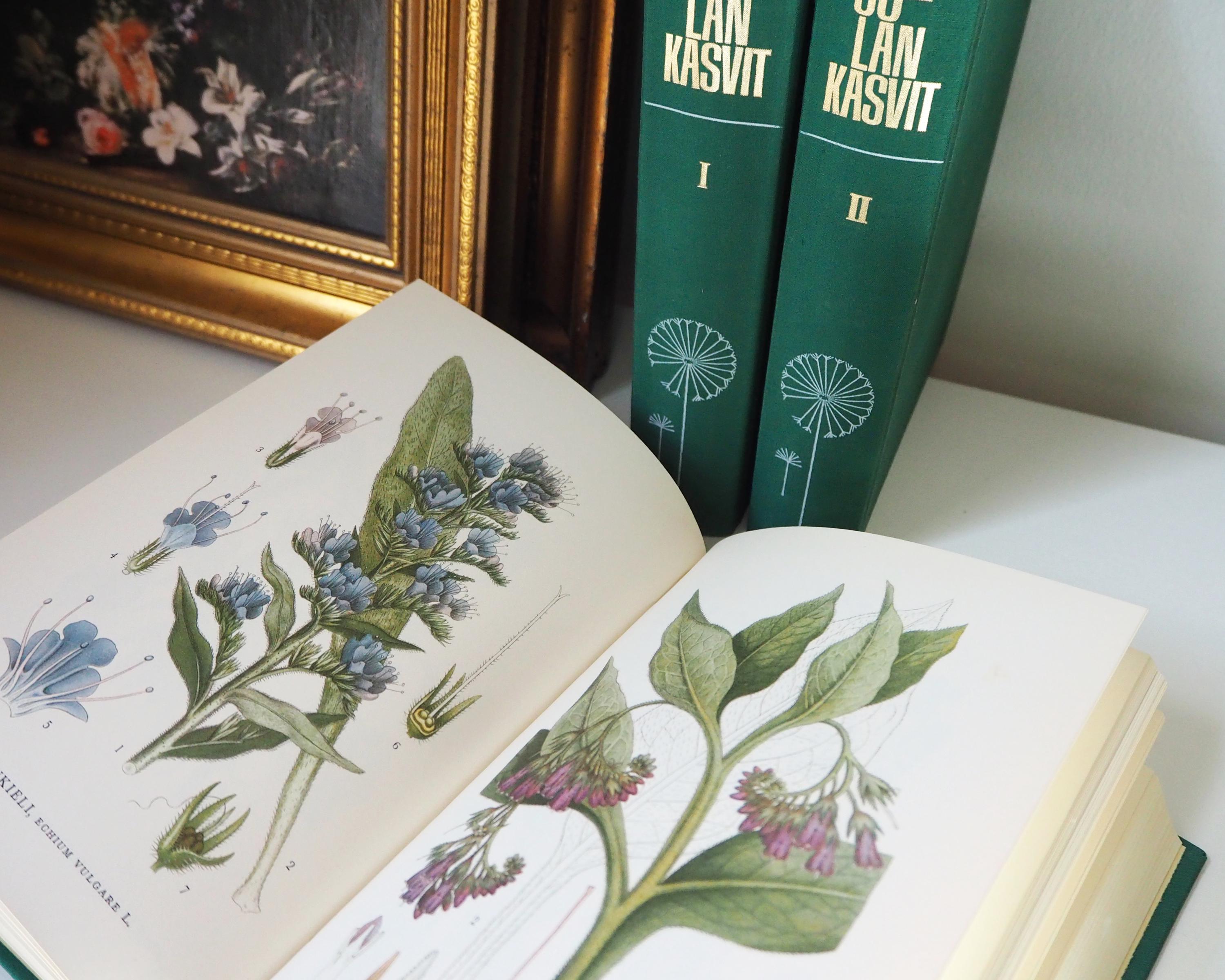ヴィンテージ植物図鑑セット | Pohjolan kasvit – Nordens Flora