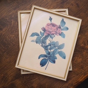 Set of two vintage framed rose prints | Framed floral wall art | Vintage rose prints wall art | Vintage Redoute roses prints