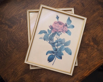 Conjunto de duas gravuras vintage de rosas emolduradas | Arte de parede floral emoldurada | Arte de parede com gravuras vintage de rosas | Gravuras vintage de rosas Redoute