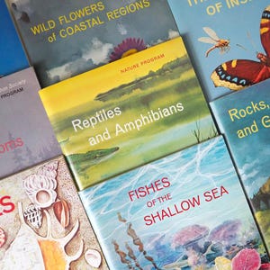 Può includere: Una collezione di libri di natura vintage con copertine colorate. I titoli includono "Reptiles and Amphibians", "Wild Flowers of Coastal Regions" e "Fishes of the Shallow Sea". I libri sono della National Audubon Society.