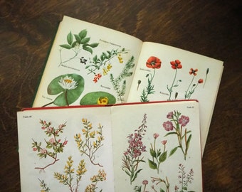 May include: Two open books with illustrations of plants and flowers. The top book features red poppy flowers, while the bottom book showcases a variety of flowers in shades of pink, yellow, and white.
