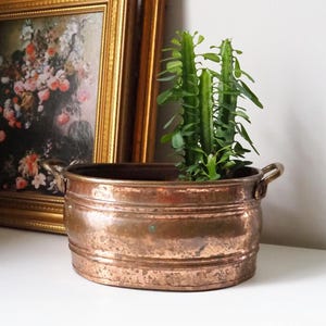 Könnte beinhalten: Ein ovaler Kupfertopf mit zwei Messinggriffen. Der Topf hat eine patinierte Oberfläche und ist mit einer grünen Sukkulente bepflanzt.