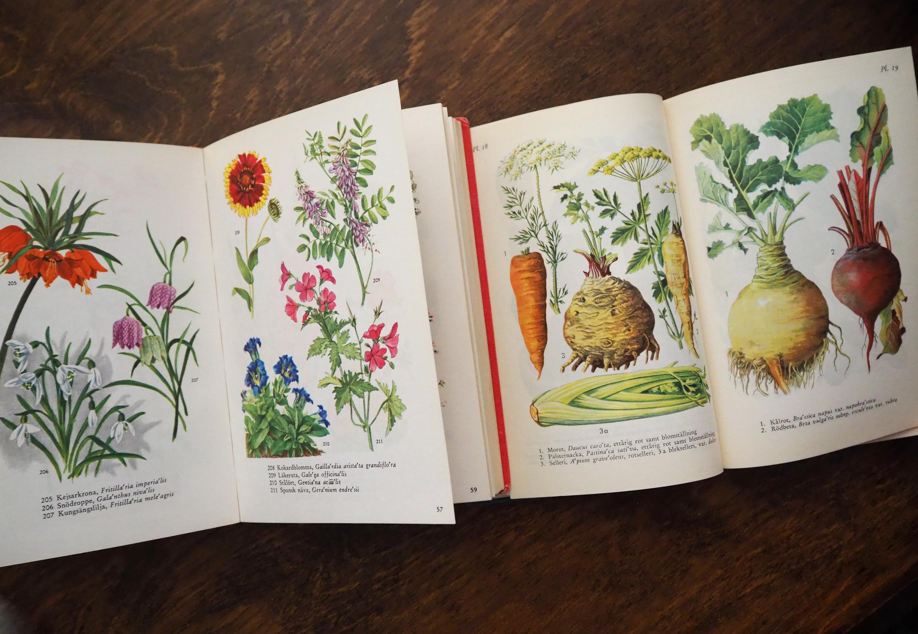 ヴィンテージの花と植物の本セット | スウェーデンの花の本