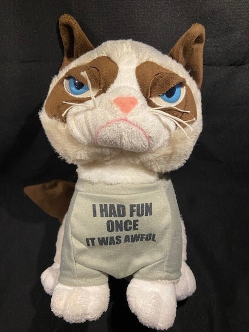 webkinz grumpy cat