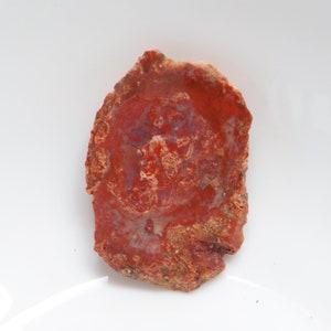 Unique Petrified Wood Slice, Druzy Fossilized Wood, Natural Polished Stone, Fossilized Wood Specimen,Healing Crystals and Stones, Home Decor