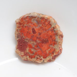 Unique Petrified Wood Slice, Druzy Fossilized Wood, Natural Polished Stone, Fossilized Wood Specimen,Healing Crystals and Stones, Home Decor