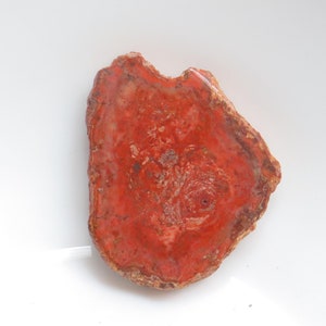 Unique Petrified Wood Slice, Druzy Fossilized Wood, Natural Polished Stone, Fossilized Wood Specimen,Healing Crystals and Stones, Home Decor