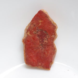 Unique Petrified Wood Slice, Druzy Fossilized Wood, Natural Polished Stone, Fossilized Wood Specimen,Healing Crystals and Stones, Home Decor