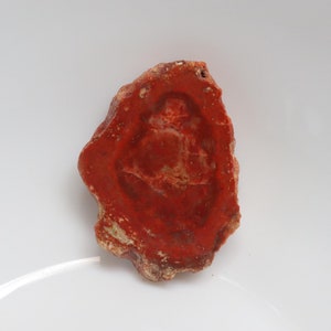 Unique Petrified Wood Slice, Druzy Fossilized Wood, Natural Polished Stone, Fossilized Wood Specimen,Healing Crystals and Stones, Home Decor