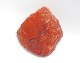 Unik förstenad träskiva, druzy fossiliserat trä, naturlig polerad sten, fossiliserat träprov, helande kristaller och stenar, heminredning