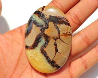 Piedra de palma septaria grande, piedra de palma septaria pulida, piedra de palma de cristal septaria amarilla, piedra de bolsillo septaria, piedras para la ansiedad/preocupación