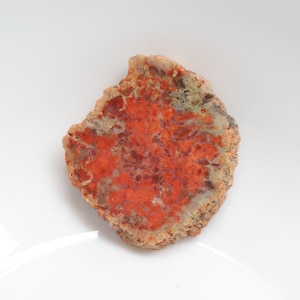 Unique Petrified Wood Slice, Druzy Fossilized Wood, Natural Polished Stone, Fossilized Wood Specimen,Healing Crystals and Stones, Home Decor