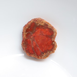 Unique Petrified Wood Slice, Druzy Fossilized Wood, Natural Polished Stone, Fossilized Wood Specimen,Healing Crystals and Stones, Home Decor