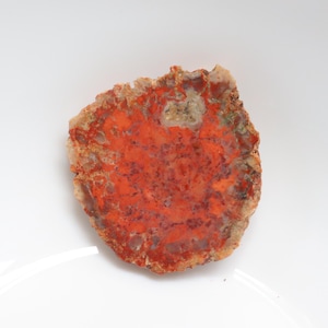Unique Petrified Wood Slice, Druzy Fossilized Wood, Natural Polished Stone, Fossilized Wood Specimen,Healing Crystals and Stones, Home Decor
