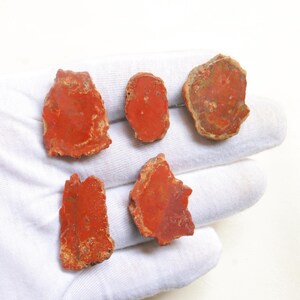 5 Pieces lot Petrified Wood Slice, Druzy Fossilized Wood, Natural Stone, Fossilized Wood Specimen,Healing Crystals and Stones, Home Decor