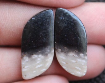 Petrified Palm Root - Fancy Shape Cabochon Matching Pair, Stone For Earring Making,,24X11X4mm ( Free Drilling Available )