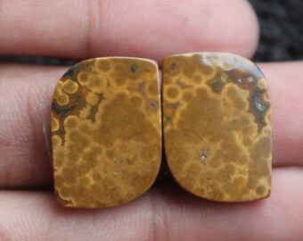 Ocean Jasper Fancy Shape Cabochon Matching Pair, Earring For Jewelry Making,,19X14X3mm( Free Drilling Available )