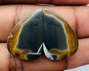 May include: A pair of heart-shaped cabochons with a black, white, and brown pattern. The cabochons are cut from a natural stone and have a smooth, polished surface.