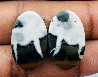 May include: Two oval-shaped gemstones with a unique pattern. The stones feature a combination of white, black, and brown colors. The gemstones are held in a hand against a white background.